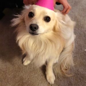 Meet your Posher, Raquel